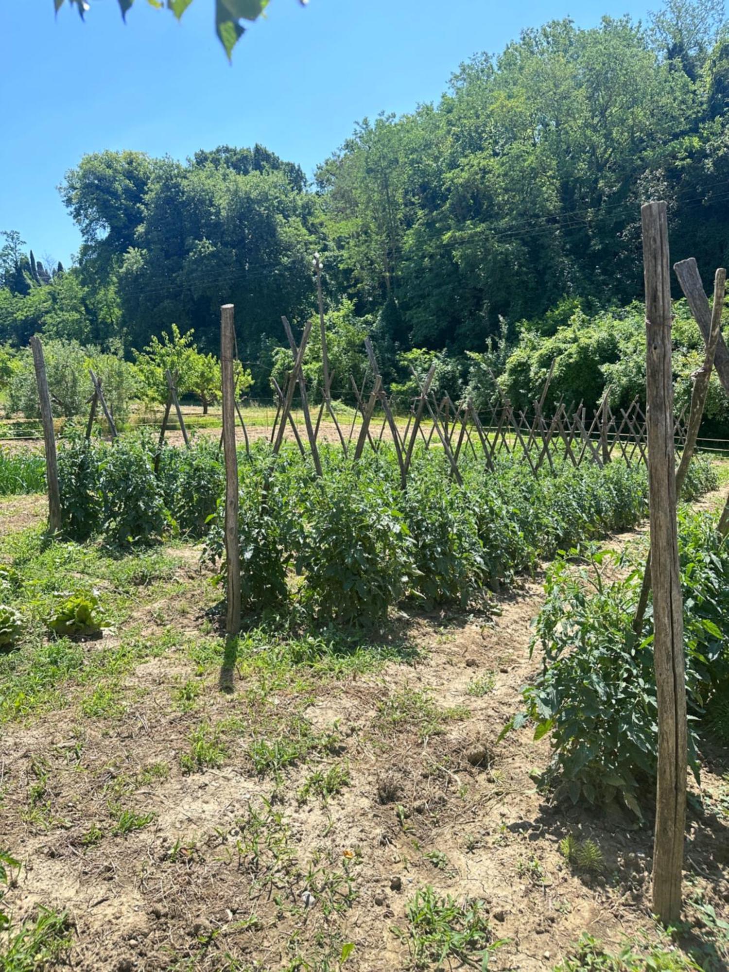 Agriturismo San Biagio Montepulciano Stazione Buitenkant foto
