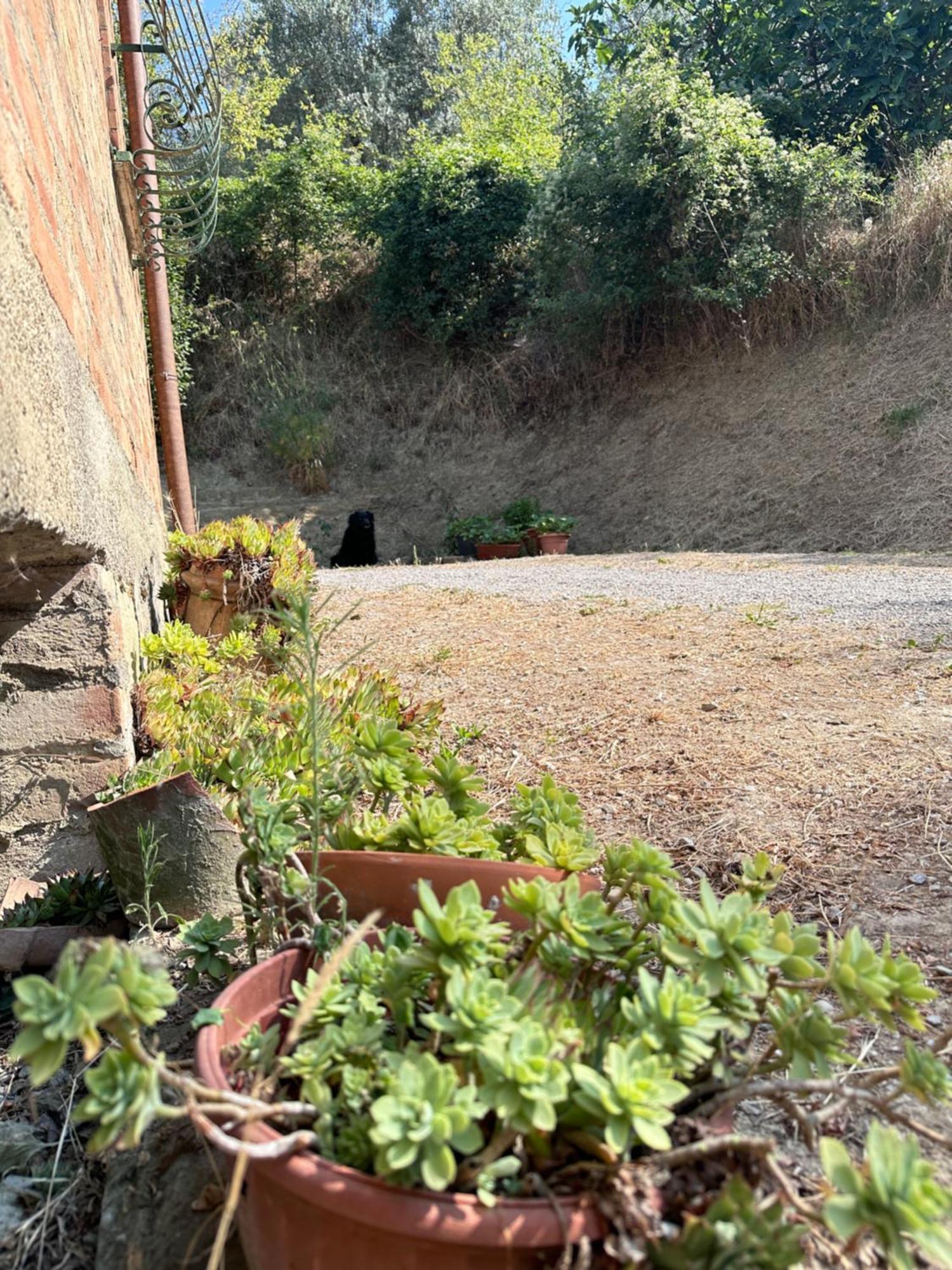 Agriturismo San Biagio Montepulciano Stazione Buitenkant foto