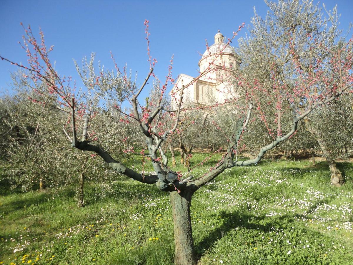 Agriturismo San Biagio Villa Montepulciano Stazione Buitenkant foto