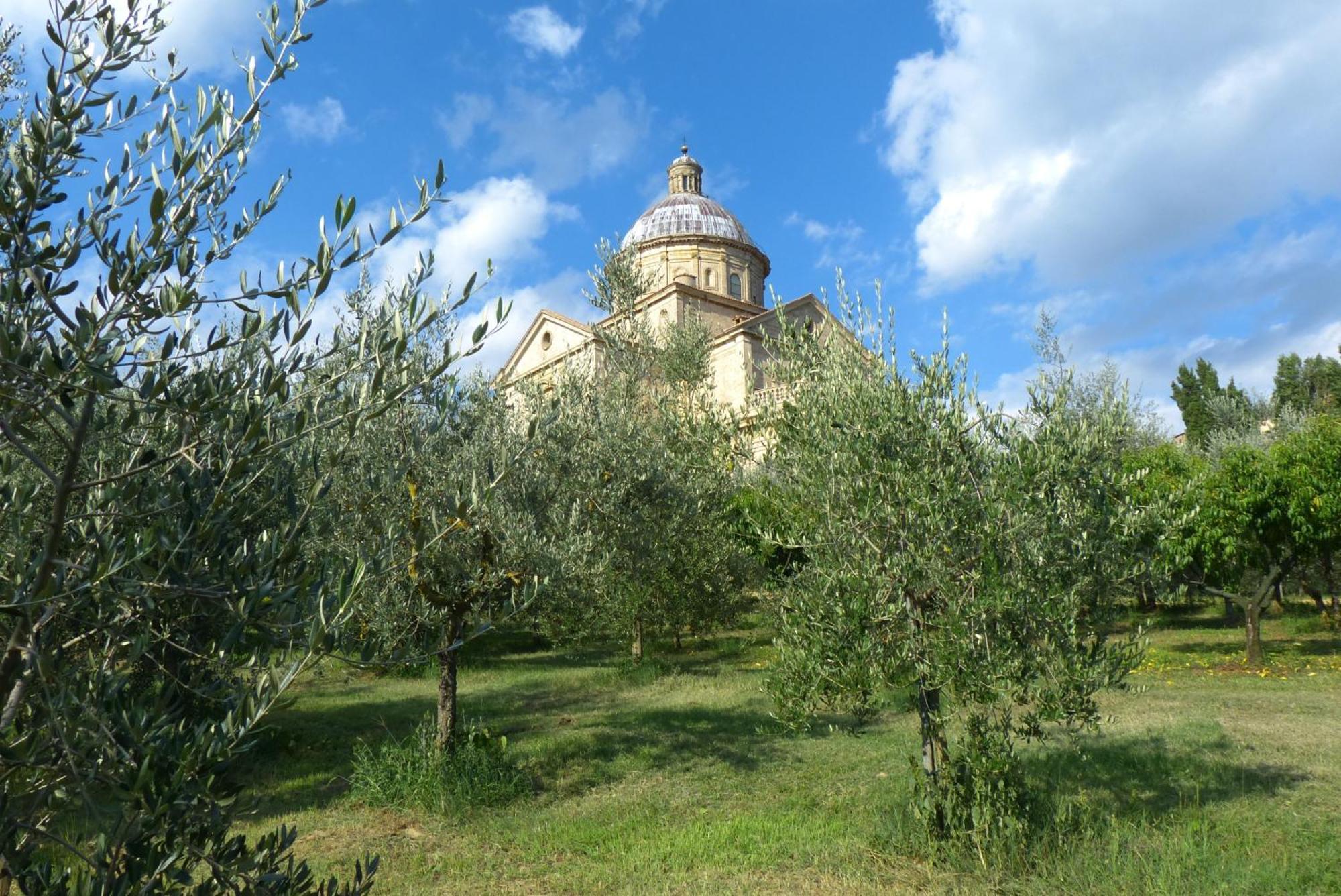 Agriturismo San Biagio Montepulciano Stazione Buitenkant foto